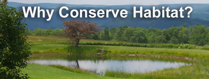 Why Conserve Habitat Icon