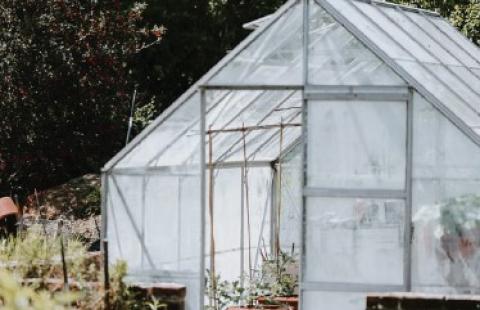 a small greenhouse