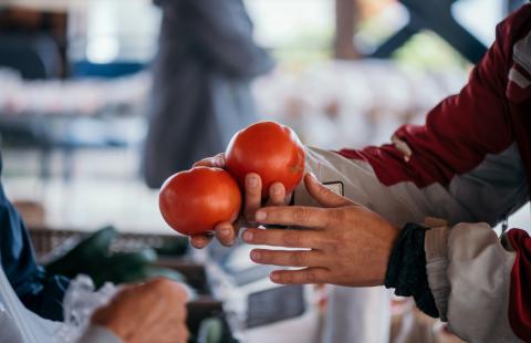 tomatoes at market