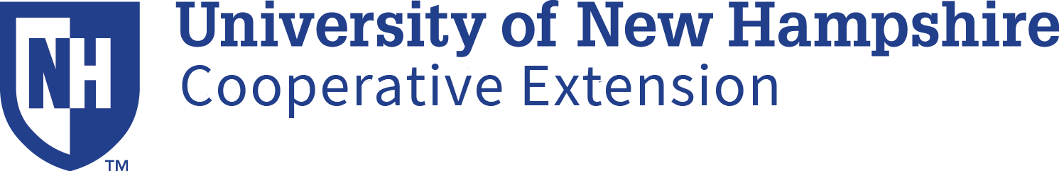 e - extension logo