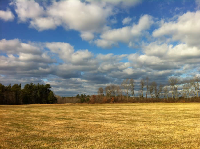 hay field