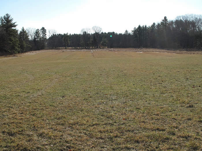 hay field mowed