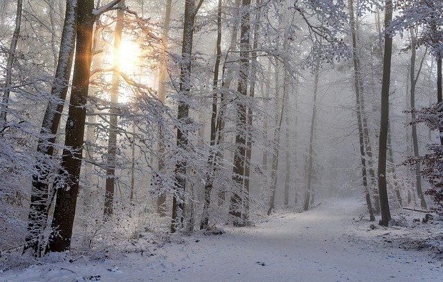 Winter Hiking Challenge Capstone Hike – NH Audubon Massabesic Center, Auburn, NH