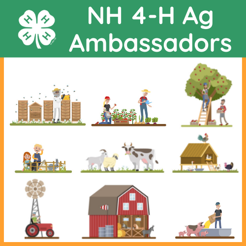 Explore the Squam Lakes Natural Science Center with the NH 4-H Ag Ambassadors