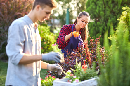 Create a Pollinator Garden at the Laconia Public Library