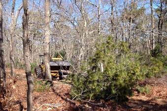 Women in the Woods - Safe Tractor Use in Your Woodlot