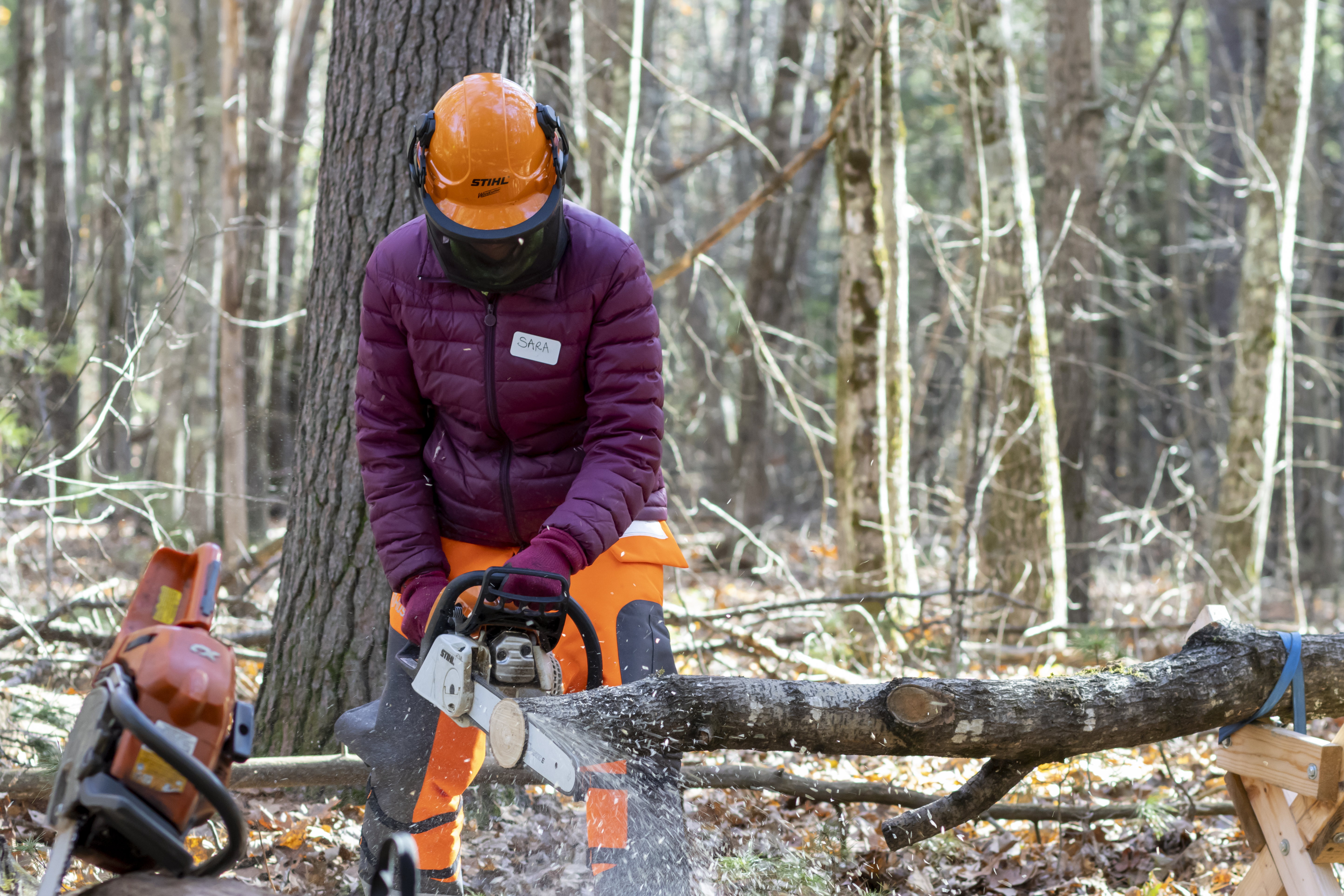 SOLD OUT - Women in the Woods: Basic Chainsaw Safety and Operation