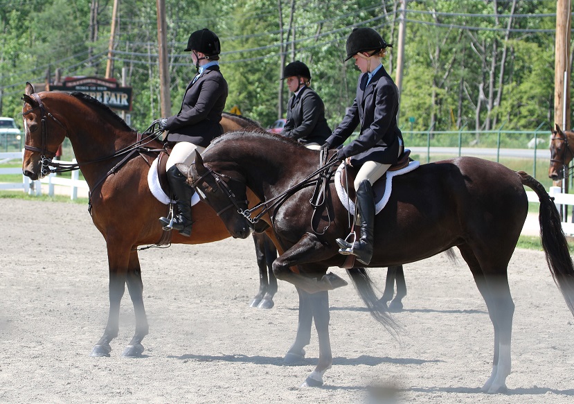 4-H & Open Horse Show