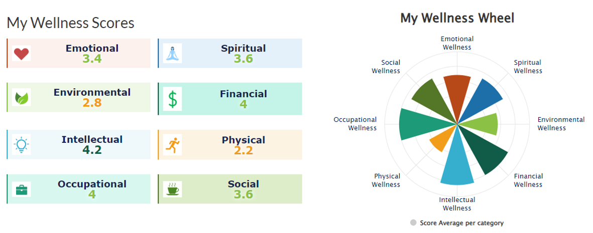 Screenshot of sample Wellness Wheel assessment report