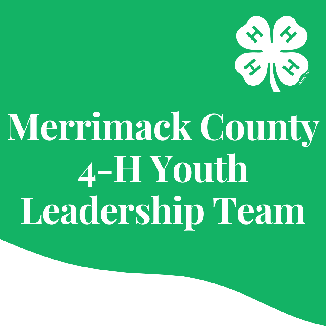 Merrimack County 4-H Youth Leadership Team Holiday Party