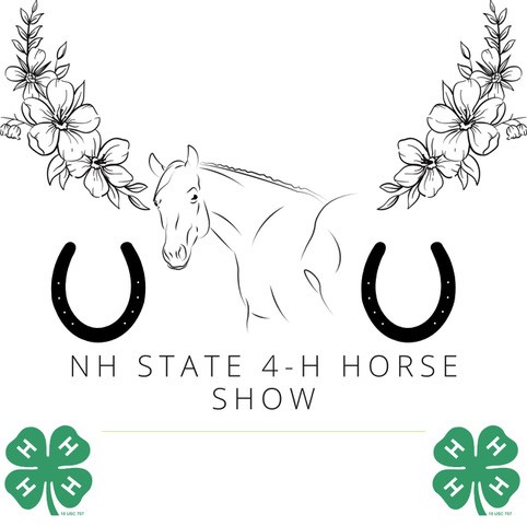 State 4-H Horse Show 2024