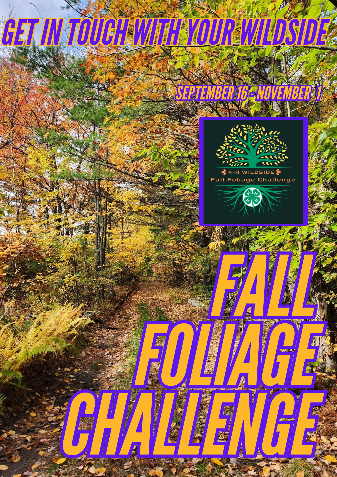 4-H Fall Foliage Challenge 2024