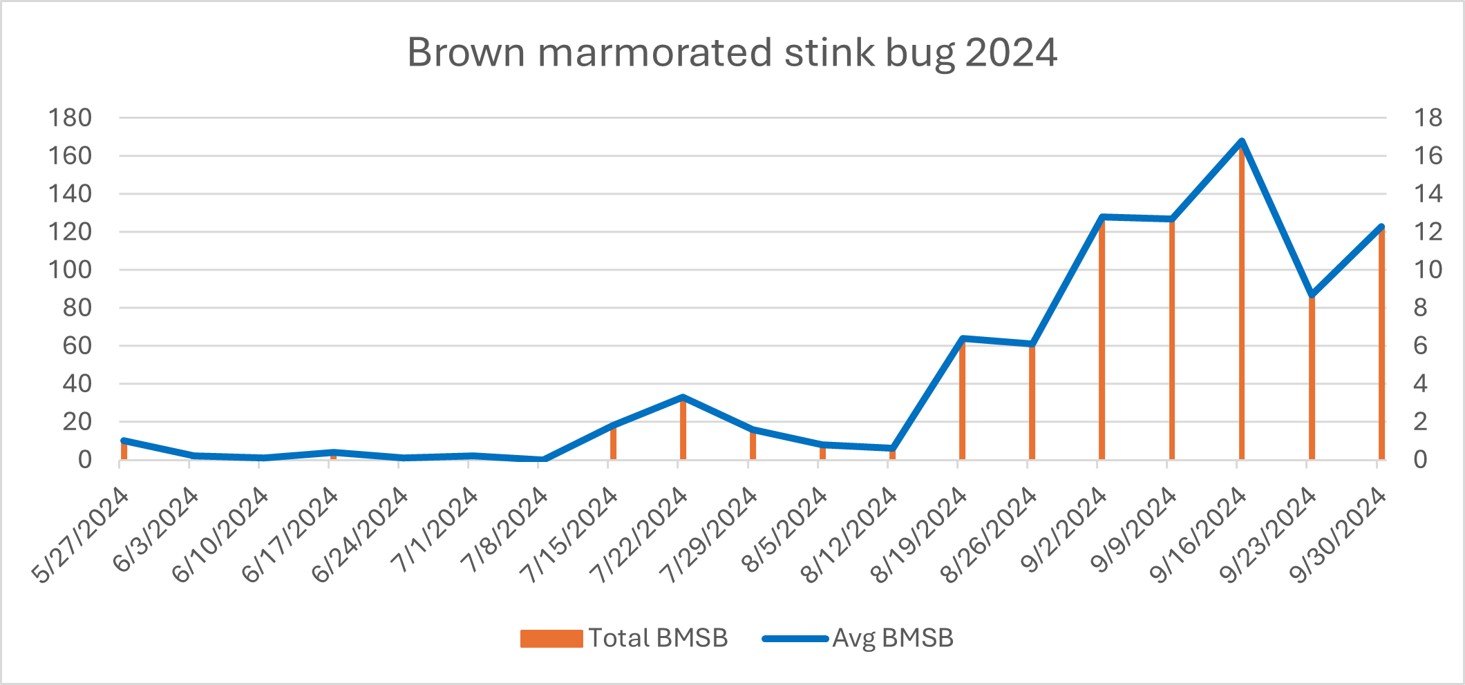 BMSB 2024