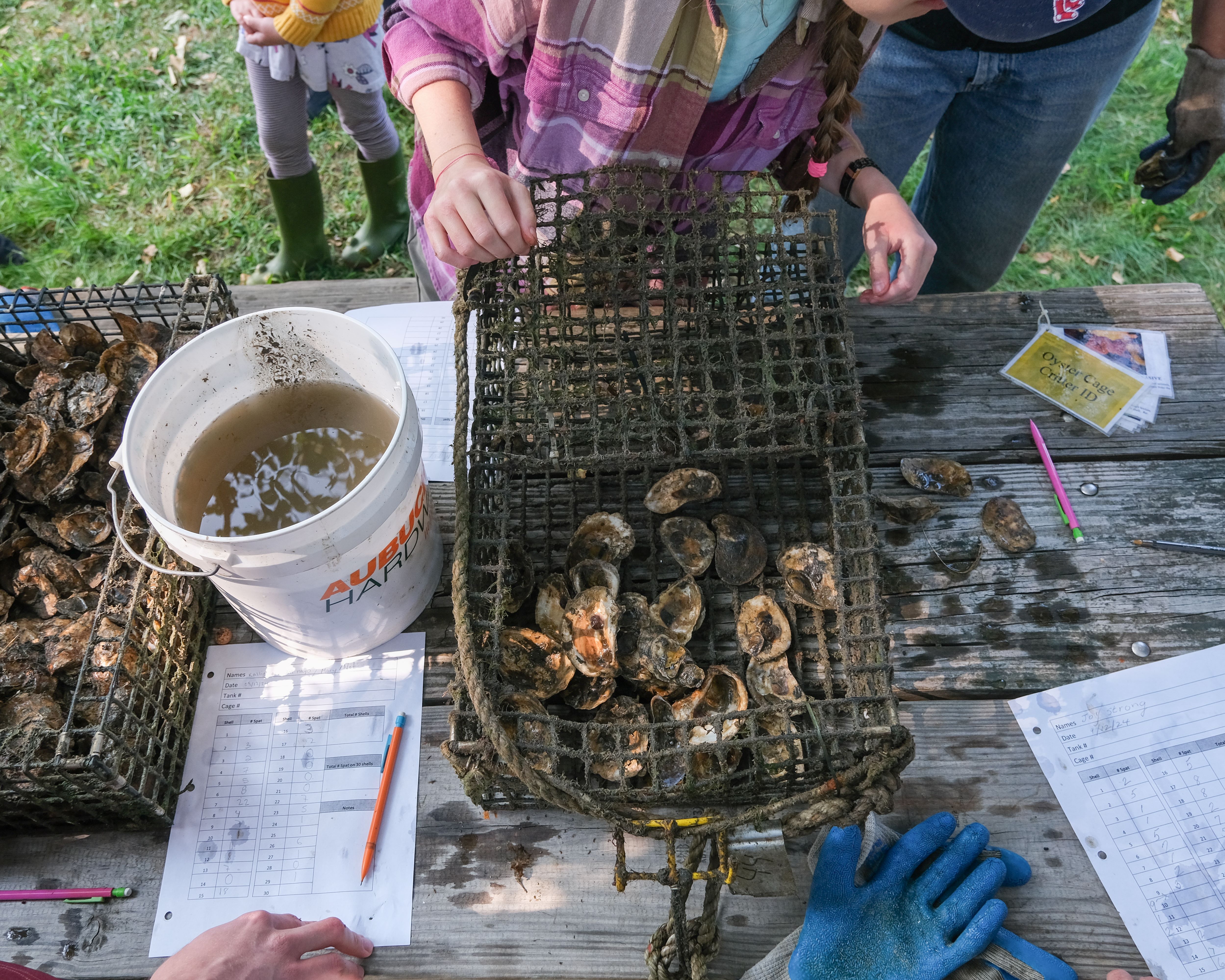 Advancing Participatory Sciences at UNH