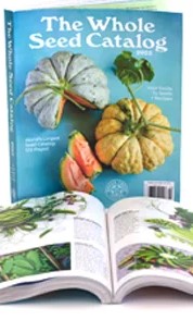 All About Seeds: Navigating Catalogues and Purchasing Seeds 