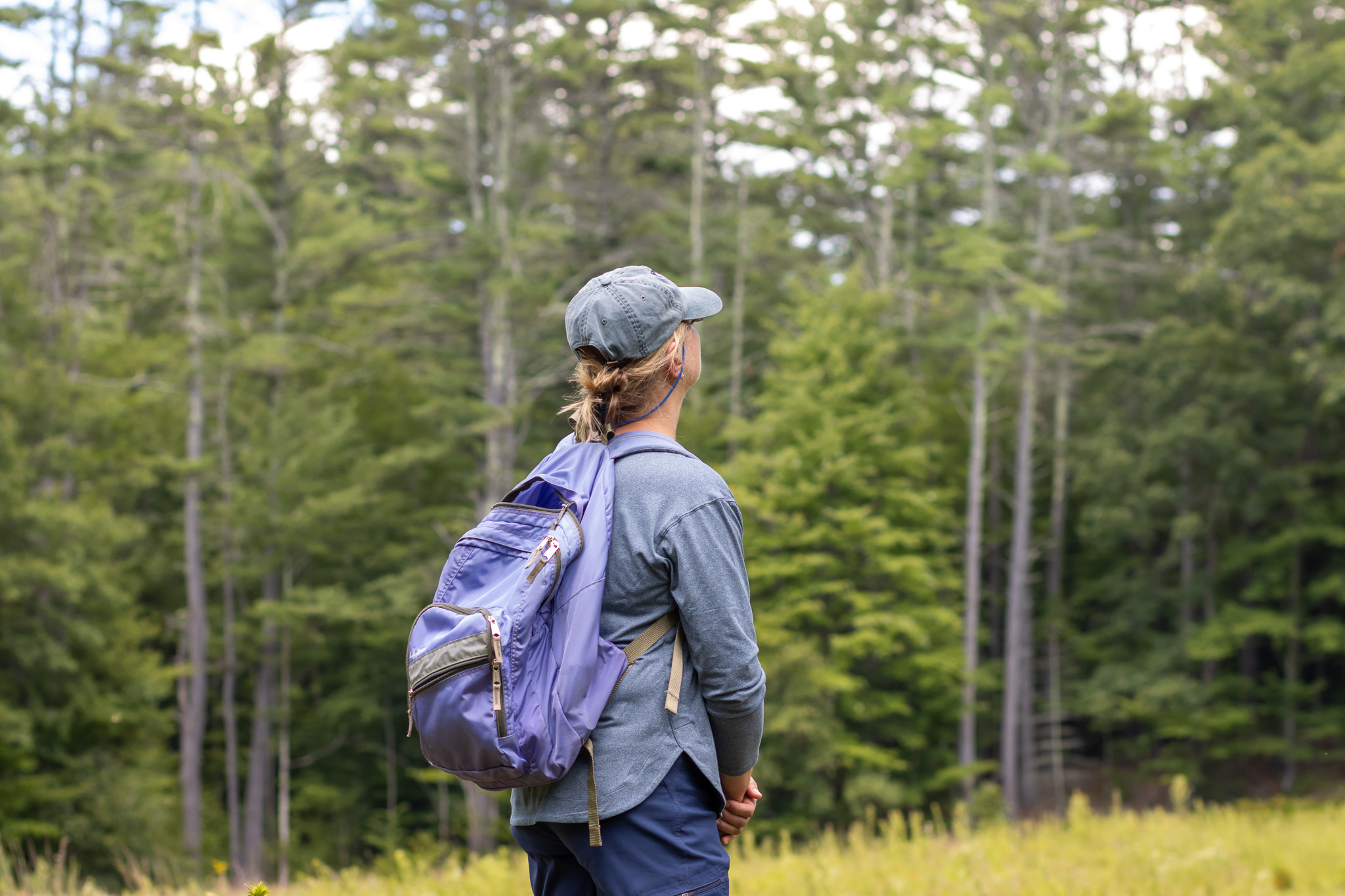 Nature in Your Backyard: Getting to Know Your Property