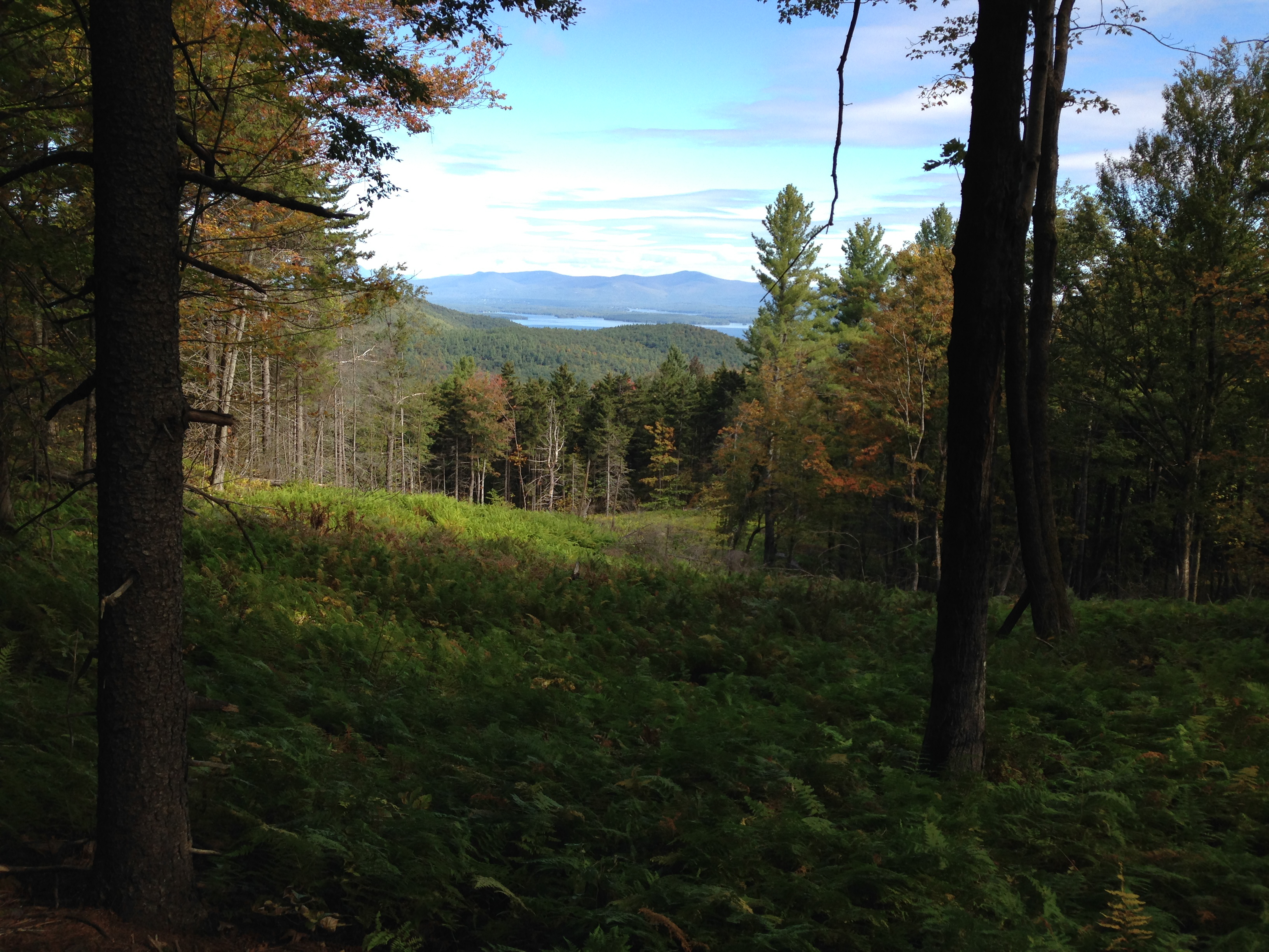 Natural NH Program Series at the Peterborough Town Library