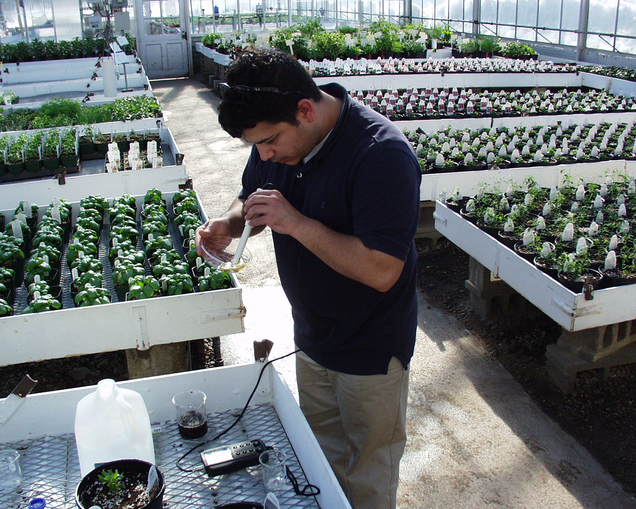 In-house Root Zone Testing