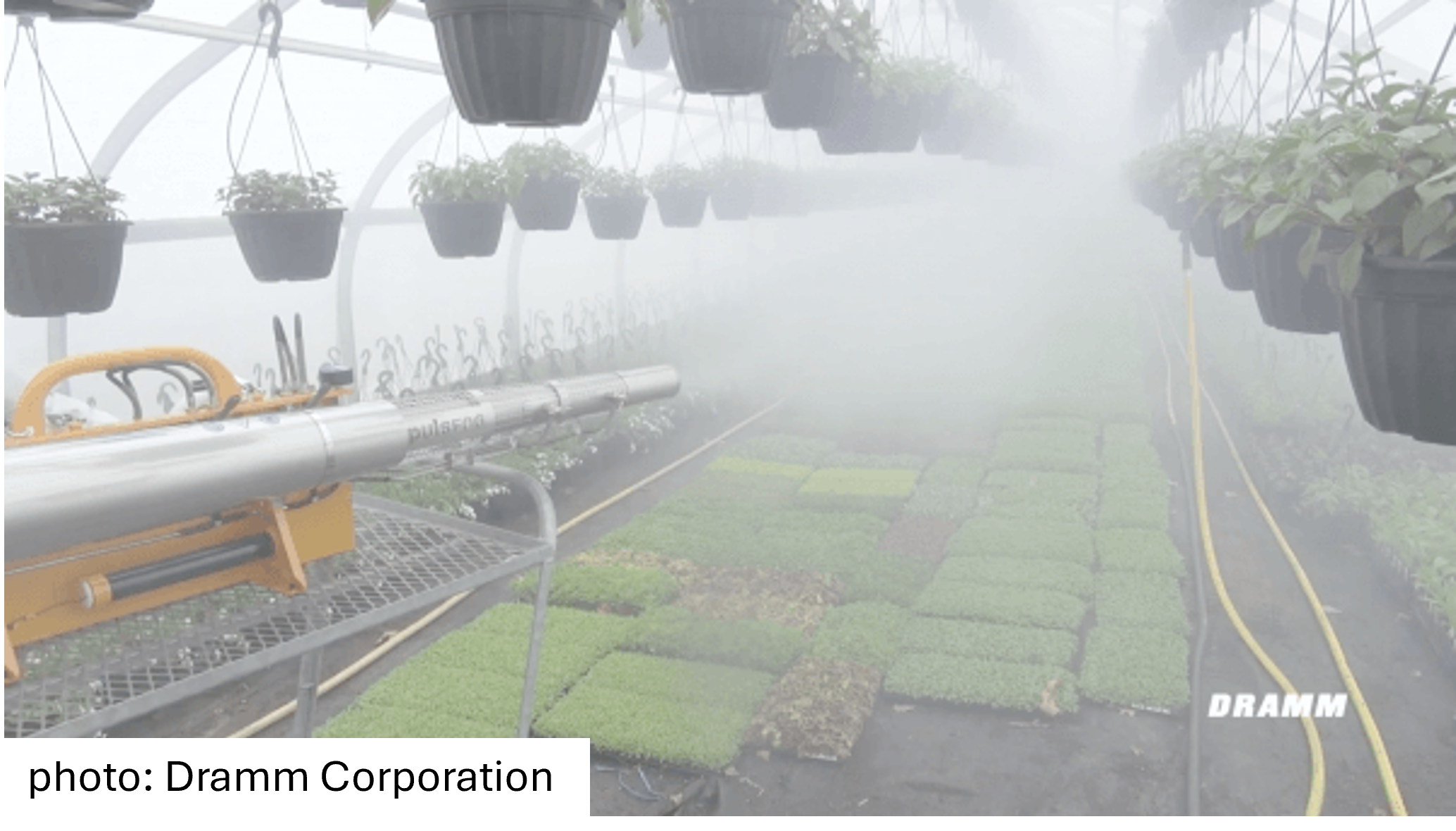Ultra Low Volume Sprayers: Are Foggers Right for You?