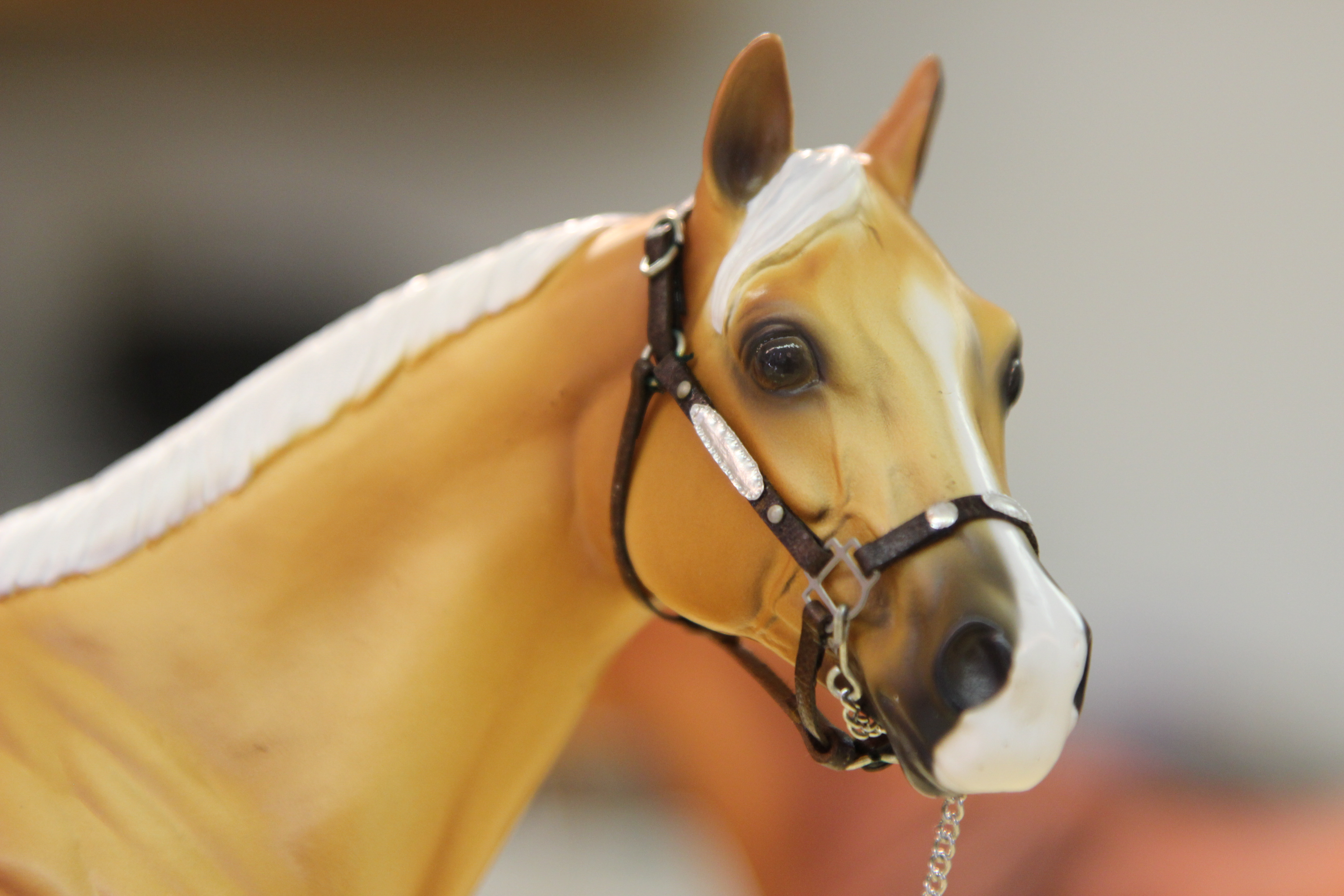 4-H Model Horse Show