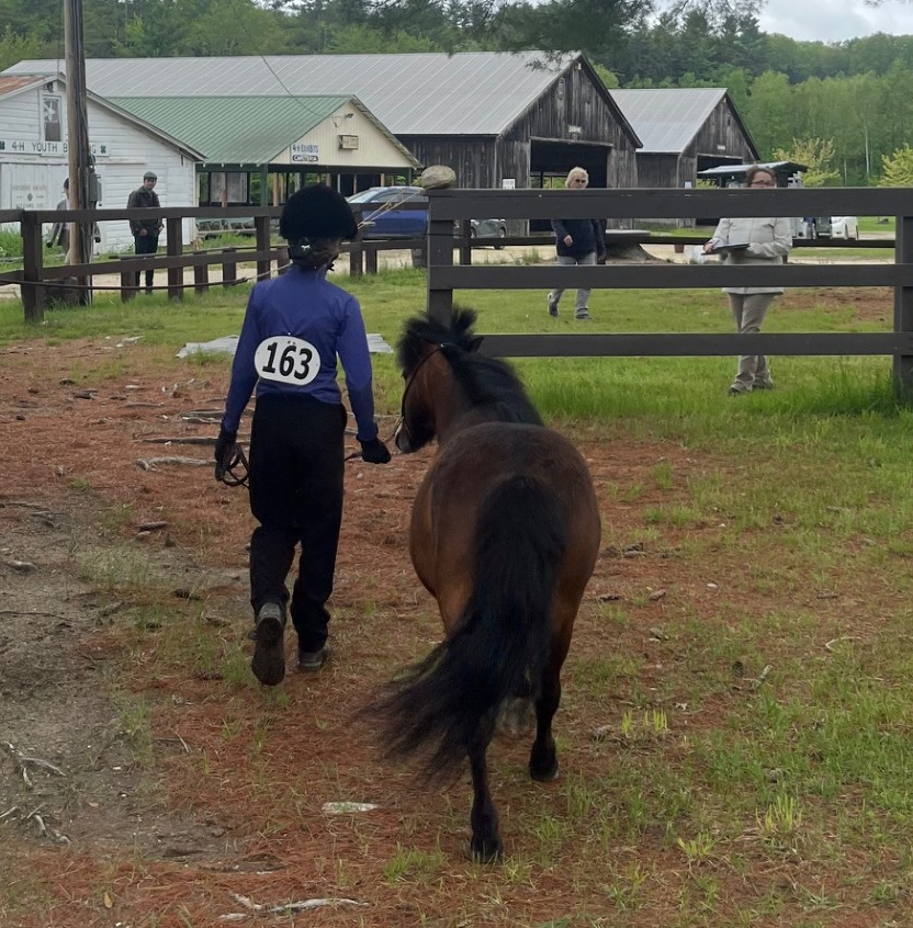 4-H Horse Youth Contest