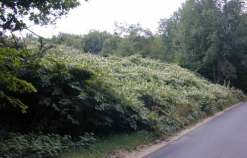 License Preparation for Commercial Applicators – Right of Way