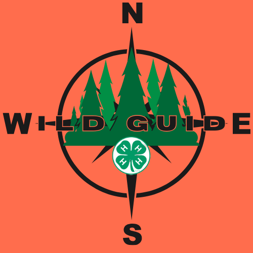 Become a guide for 4-H Wildside!