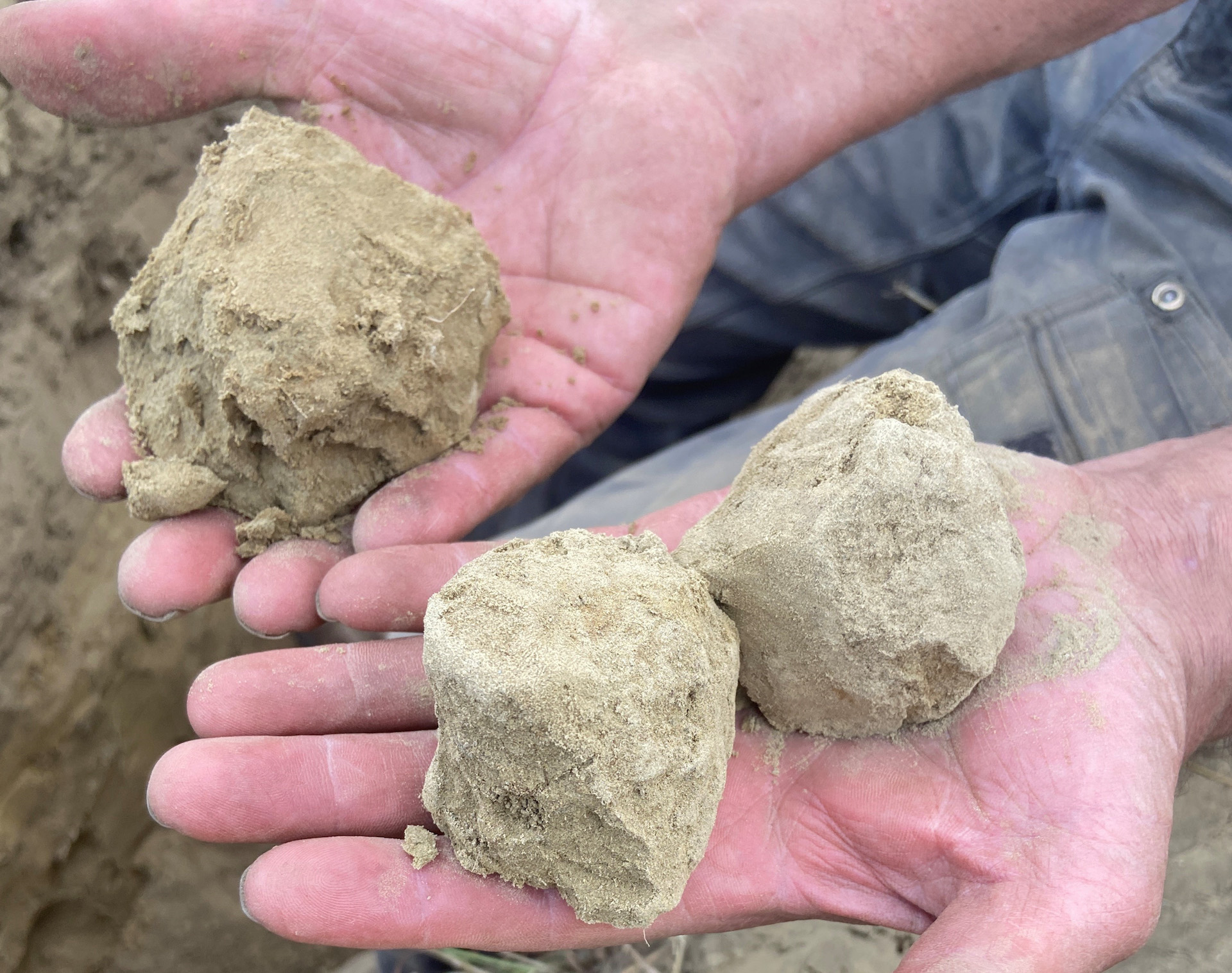 Soil Compaction Workshop