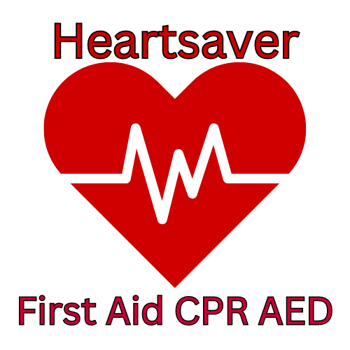 Sullivan County 4-H Heartsaver CPR Course