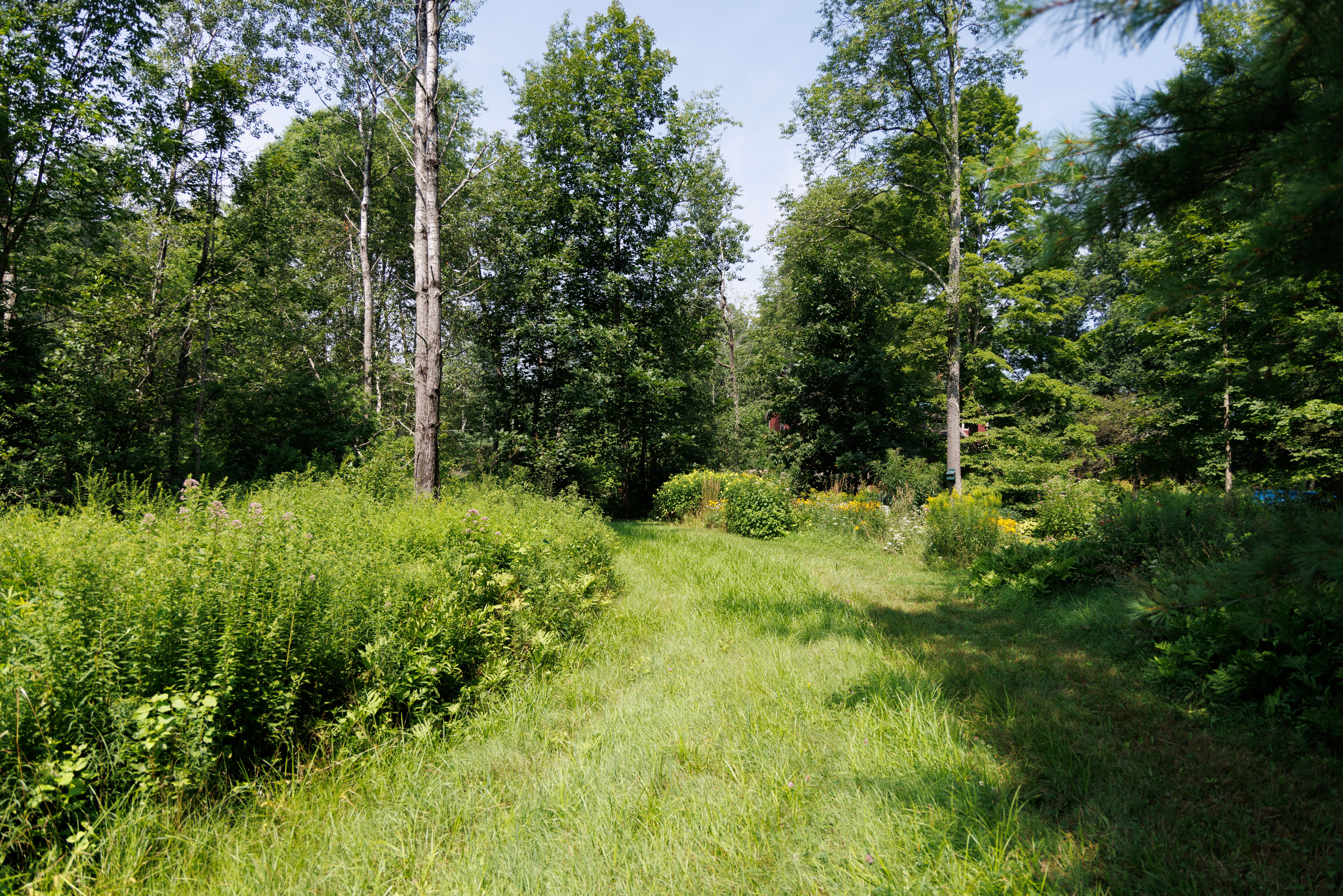 Landscaping for Wildlife