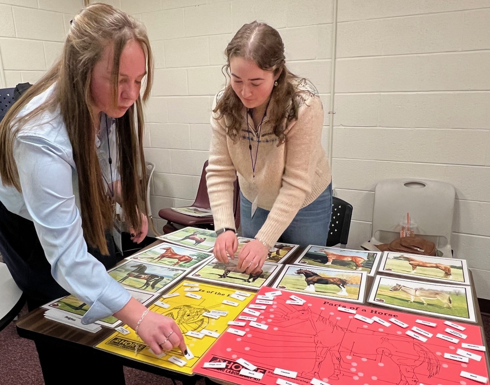 2026 NH 4-H Hippology Contest