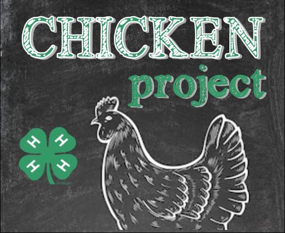 Introduction to the 4-H Poultry Project