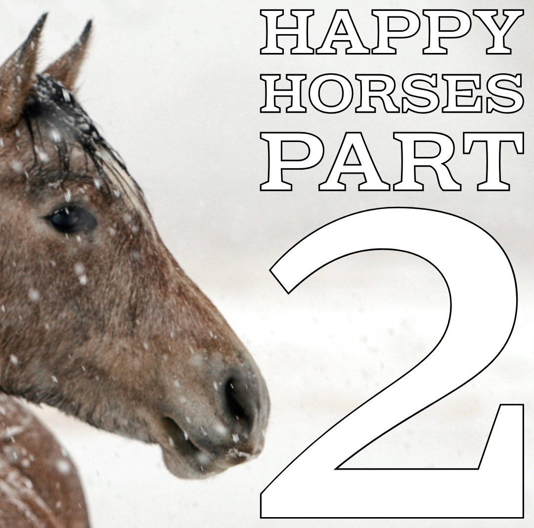 4-H Virtual Education Series: Happy Horses Part 2