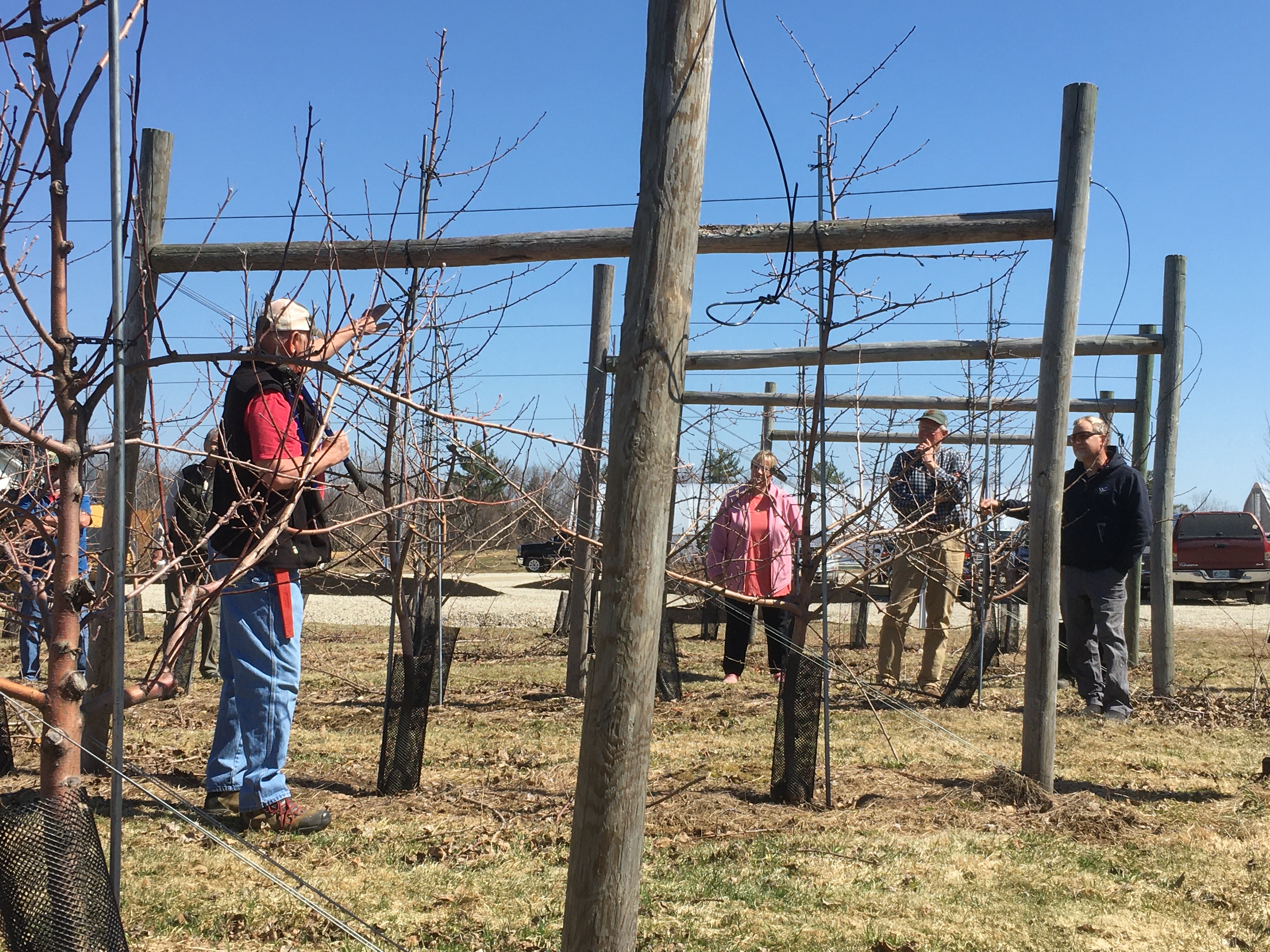 Pruning Demonstration for Commercial Apple and Peach Growers