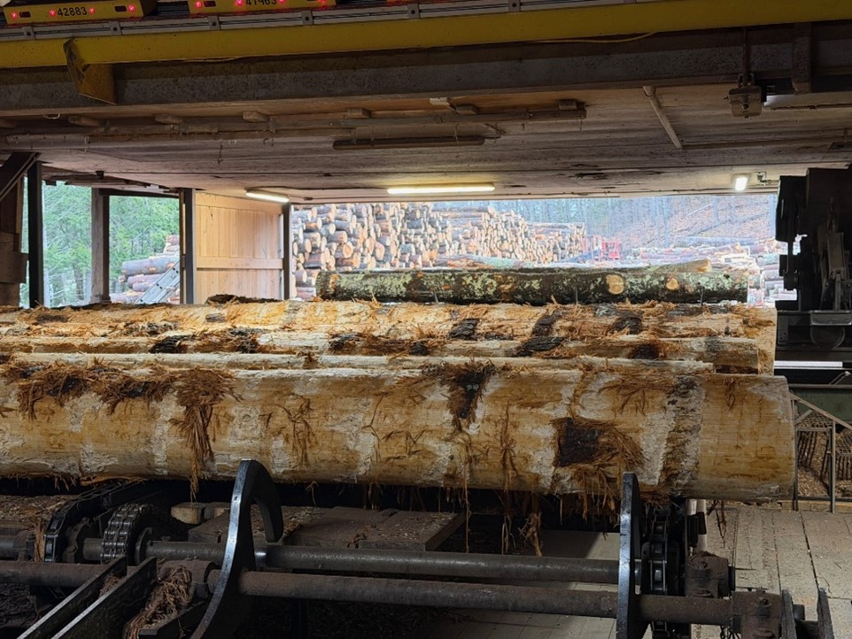 NH Forest Products Markets Update - March 2026