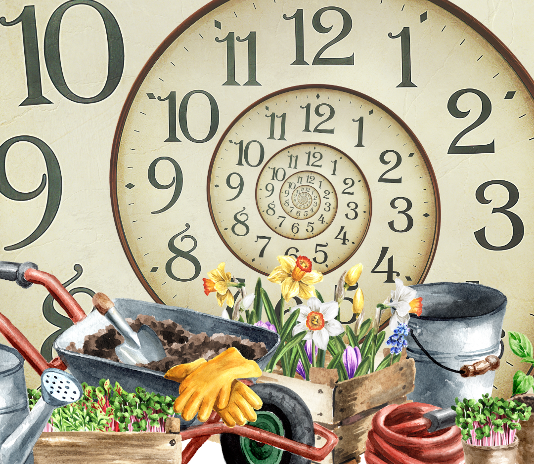 4-H Garden Time Travelers