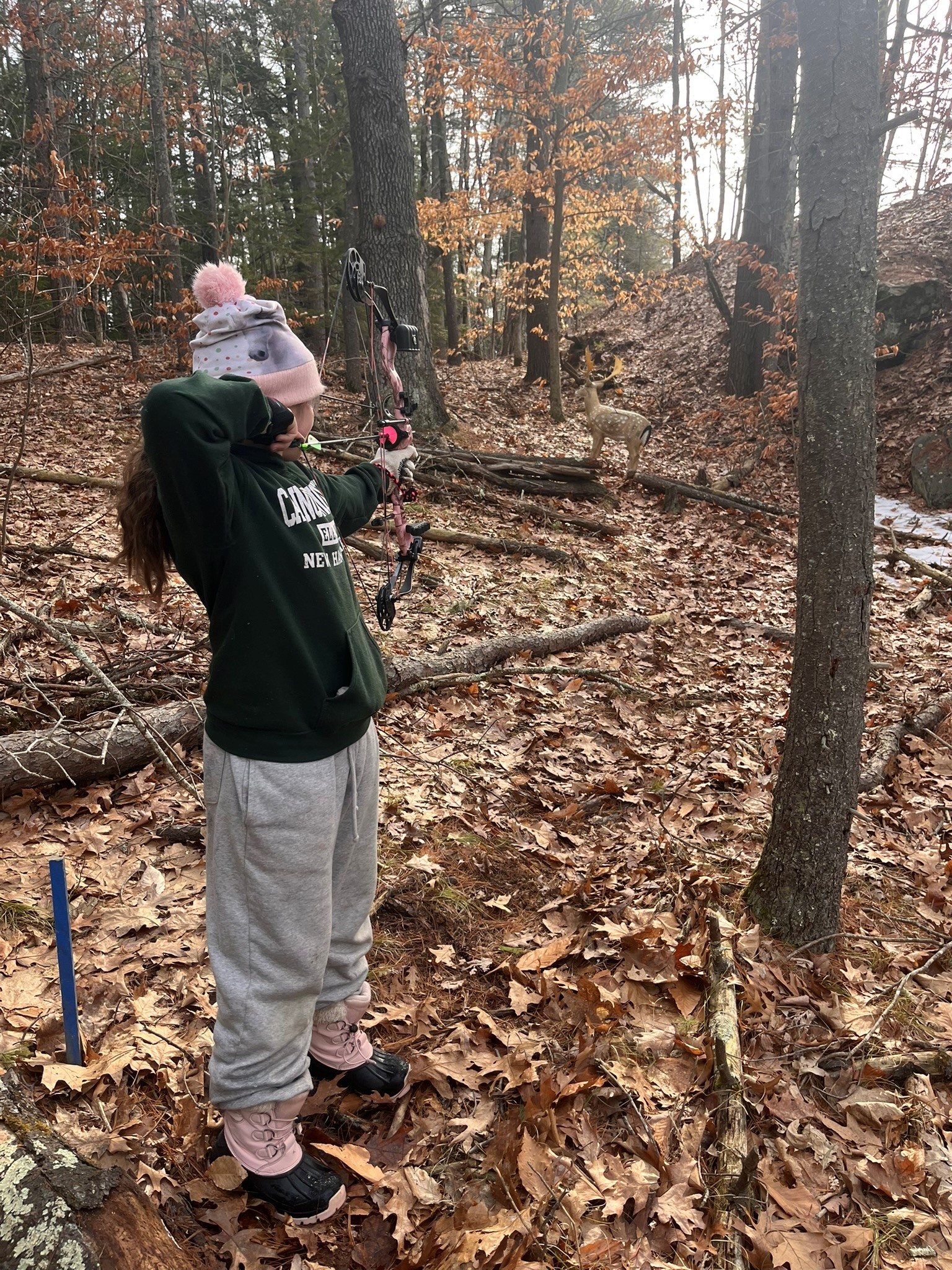 4-H 3D Archery Shoot