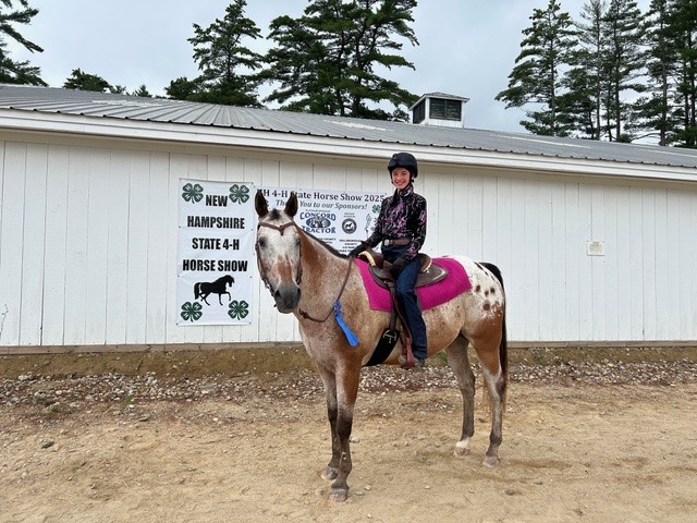 4-H Horse Clinic