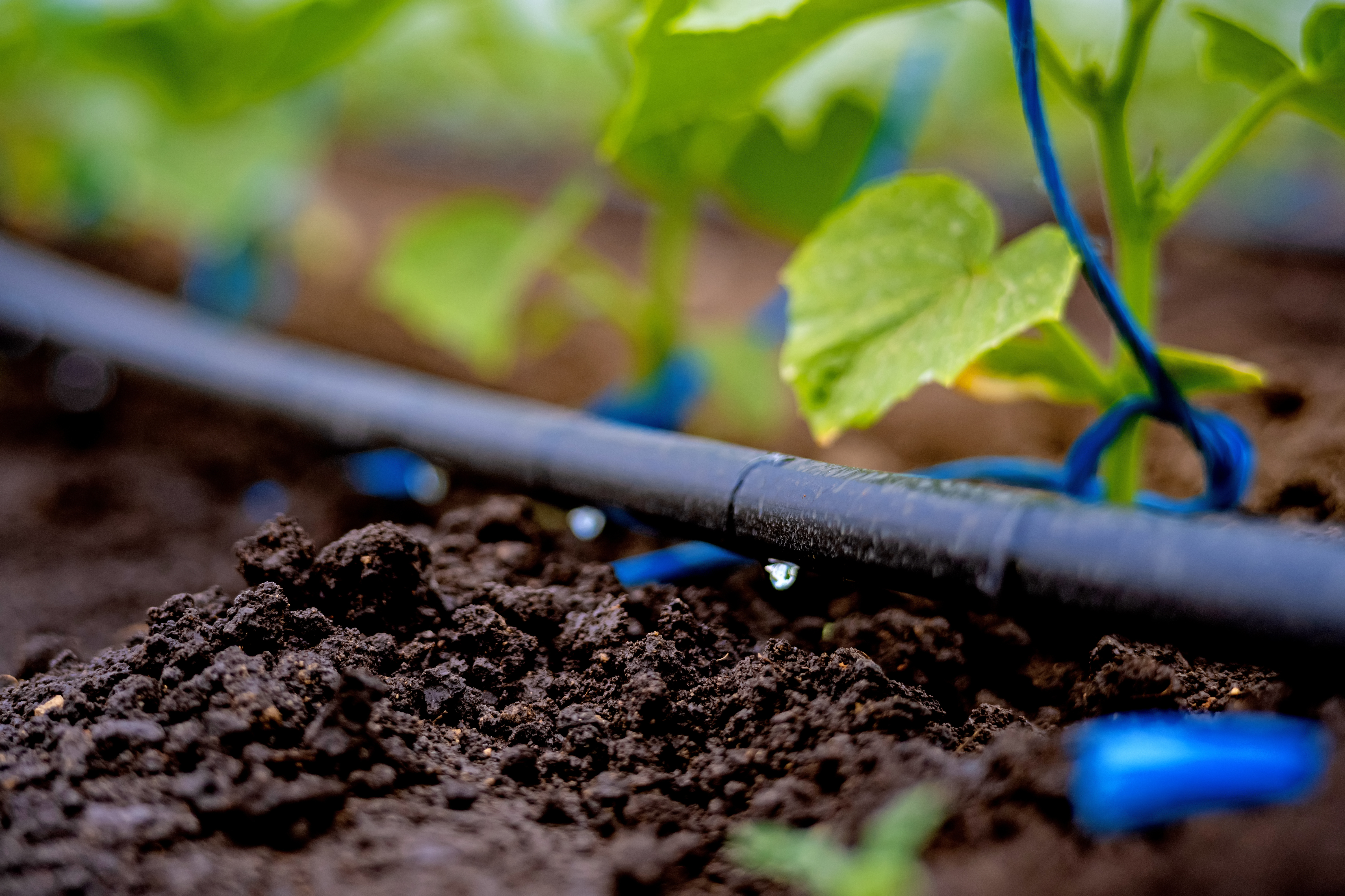 Field Irrigation Monitoring Systems & Automation Twilight Meeting at Longview Farm