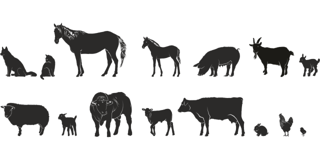 The State of NH 4-H Animal Science