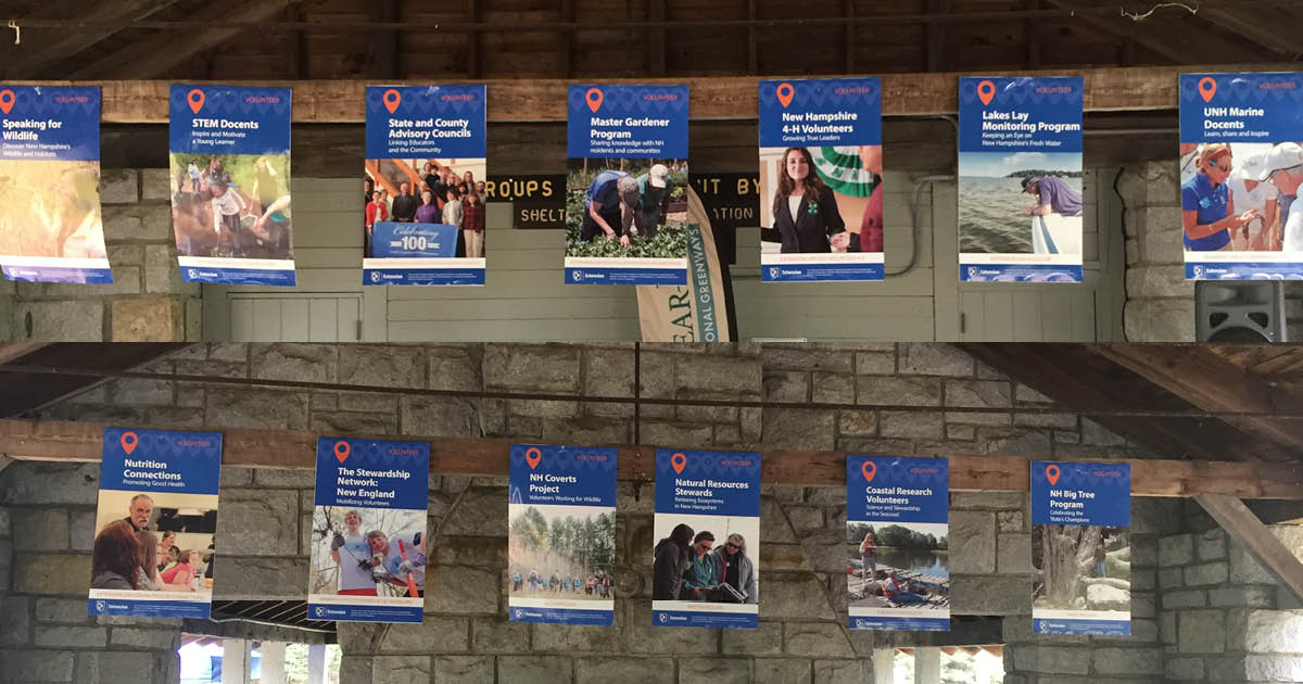 Banners from all 13 of the volunteer organizations