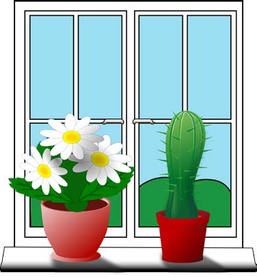 Care of Flowering Gift Plants in the Home [fact sheet]