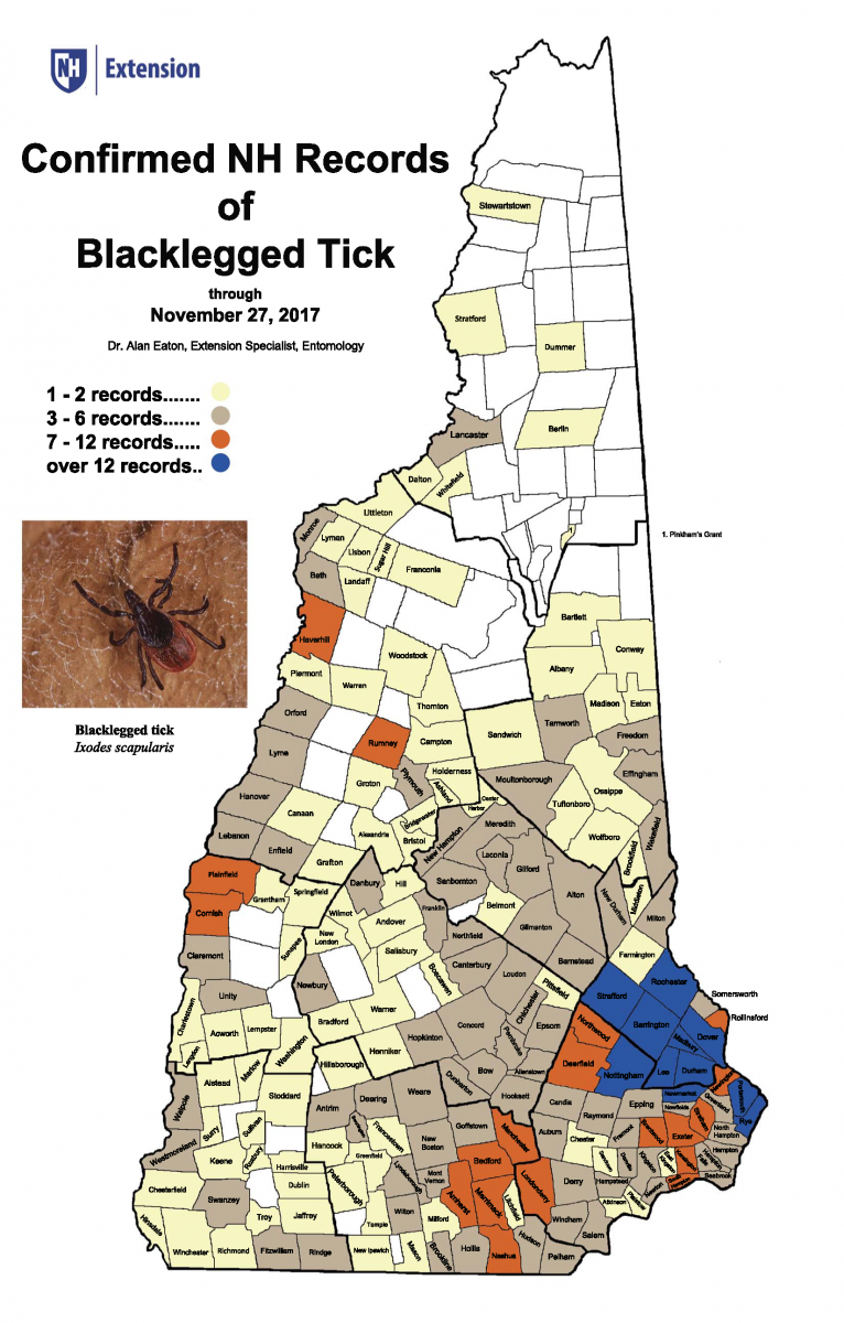 nh tick identification