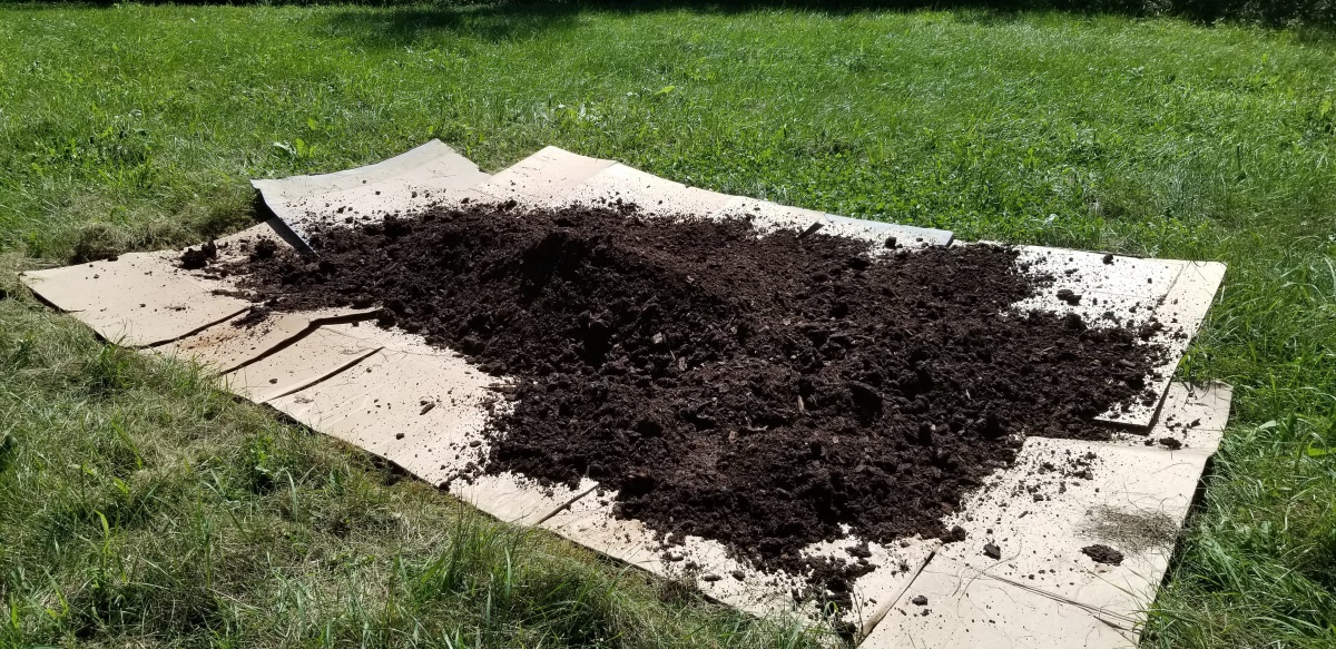 sheet mulching