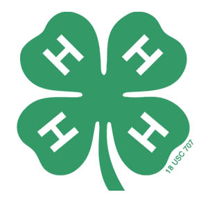 4-H clover