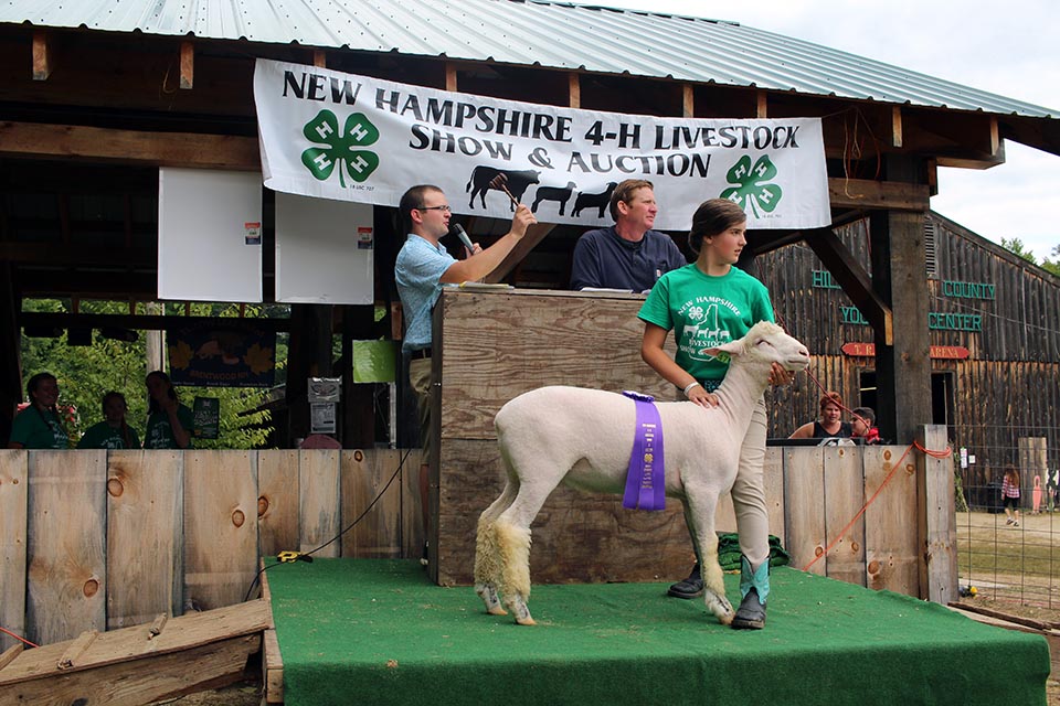NH 4-H members participate in the 2017 Livestock Auction