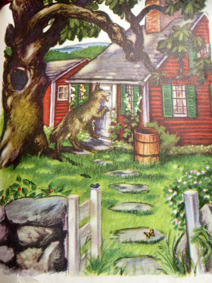 Ash tree illustration in Red Riding Hood