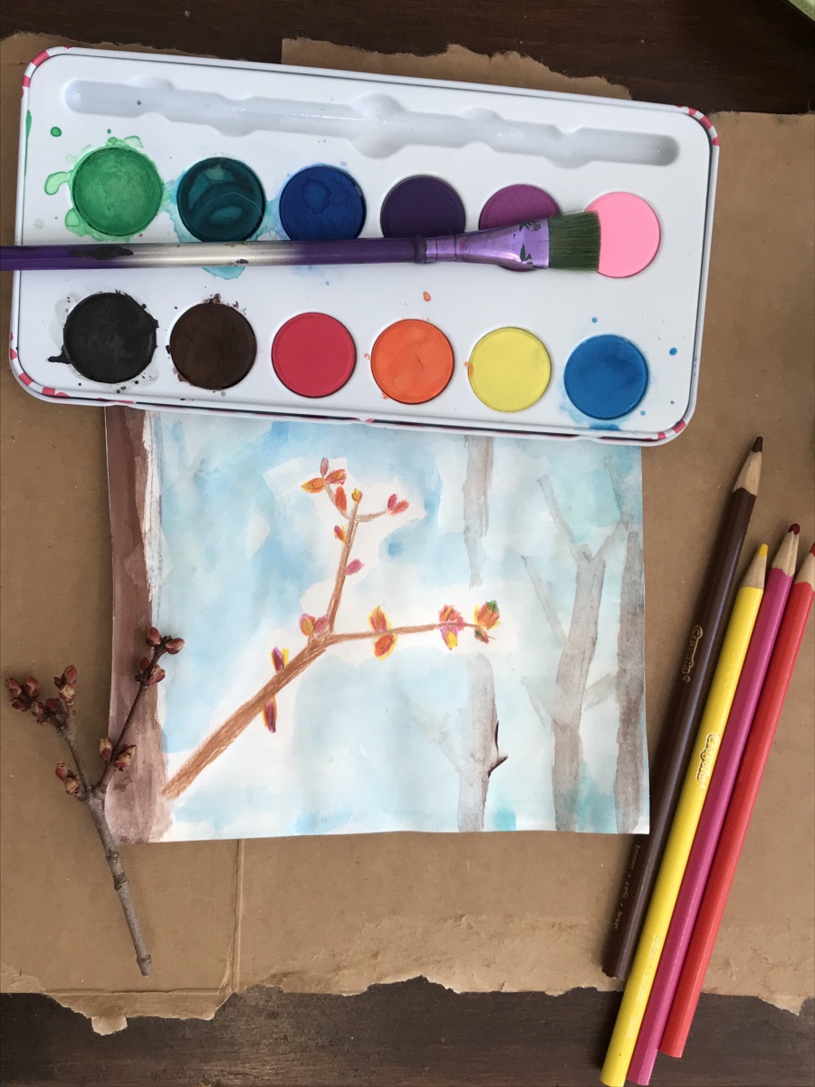 Red Maple Bud Painting (By 8 year old)