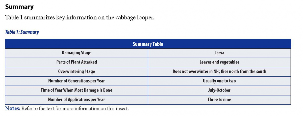 Summary Chart