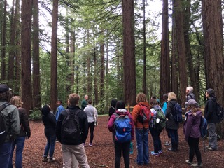 people in the woods learning about nature